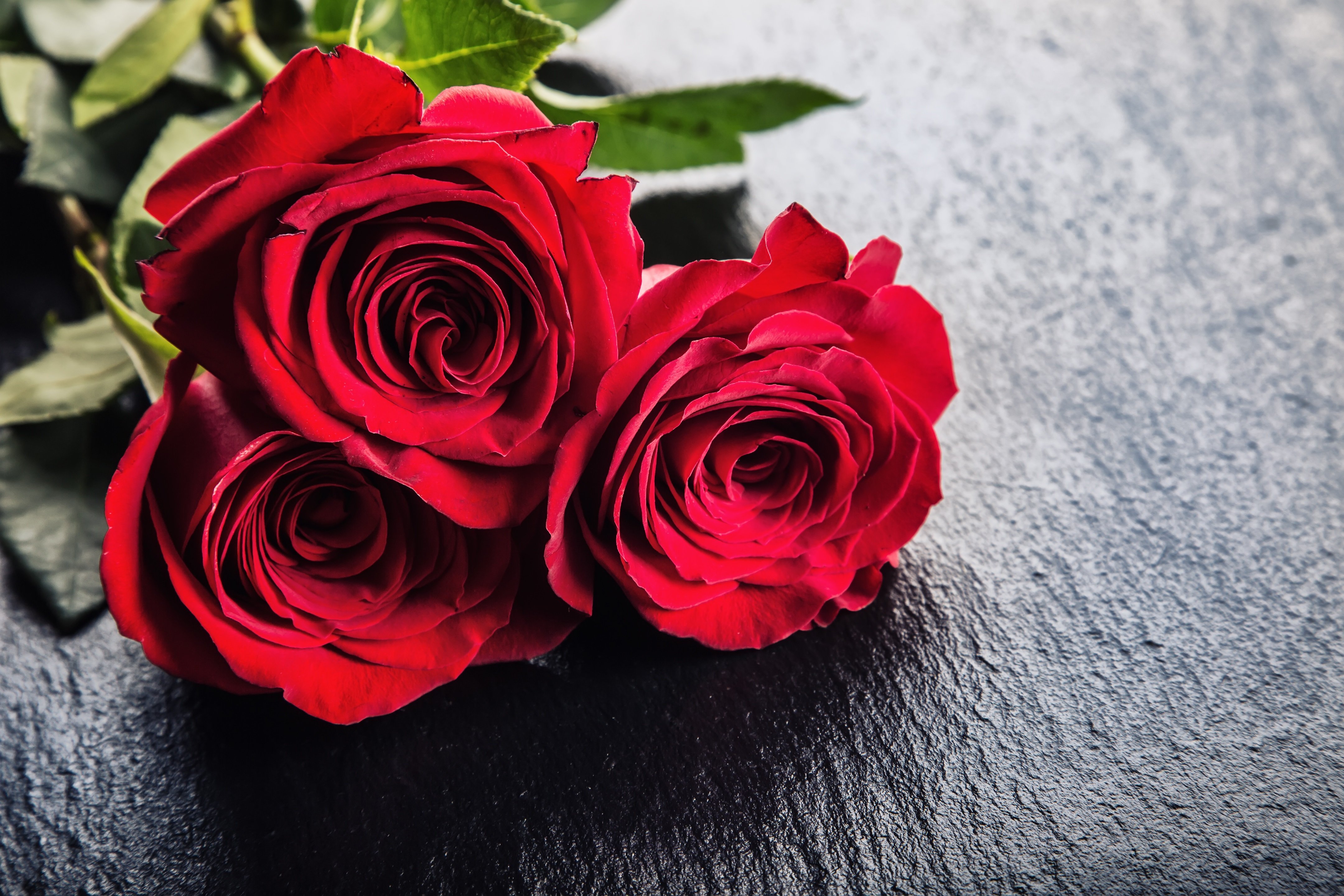 Rose Red Roses Bouquet Of Red Roses Several Roses On Granite Background Valentines Day